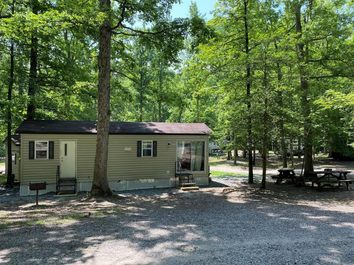 The Vintage Rv'S At Wilderness Presidential Camp Resort By Tripforth Spotsylvania Exterior foto